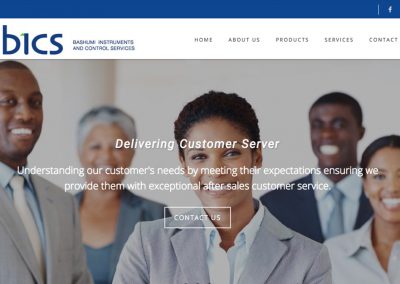 Bashumi Instruments & Control Services